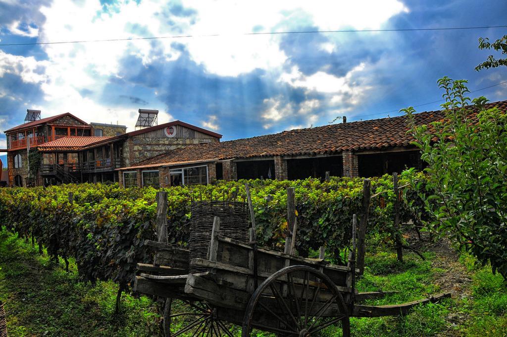 Hotel Twins Wine House à Napareuli Extérieur photo