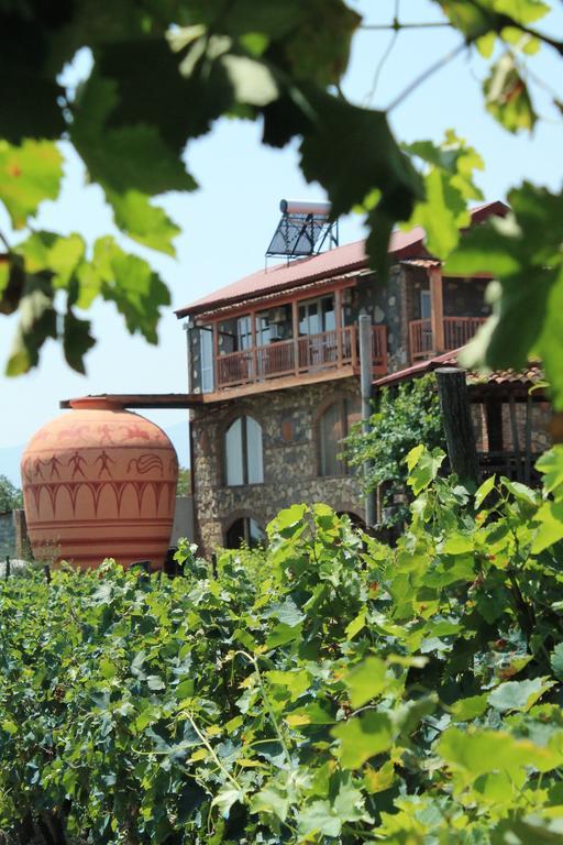 Hotel Twins Wine House à Napareuli Extérieur photo