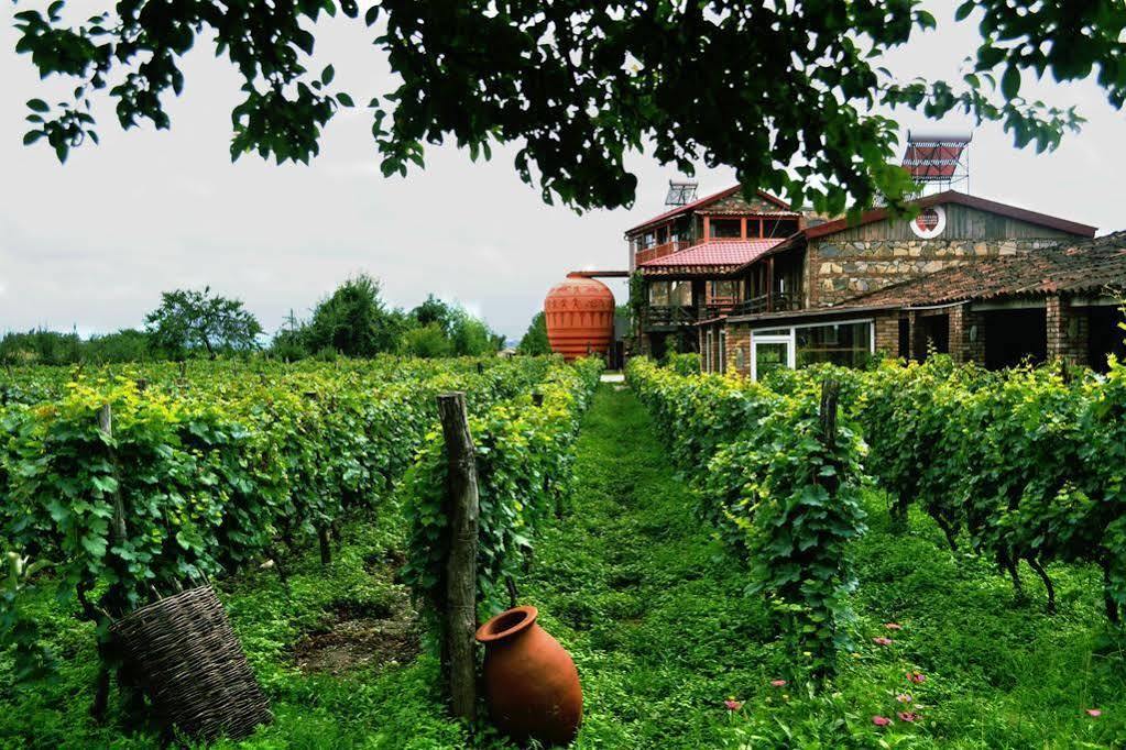 Hotel Twins Wine House à Napareuli Extérieur photo