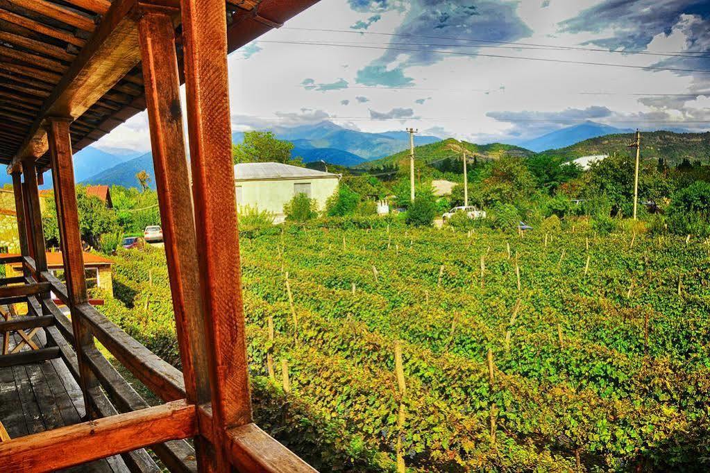 Hotel Twins Wine House à Napareuli Extérieur photo